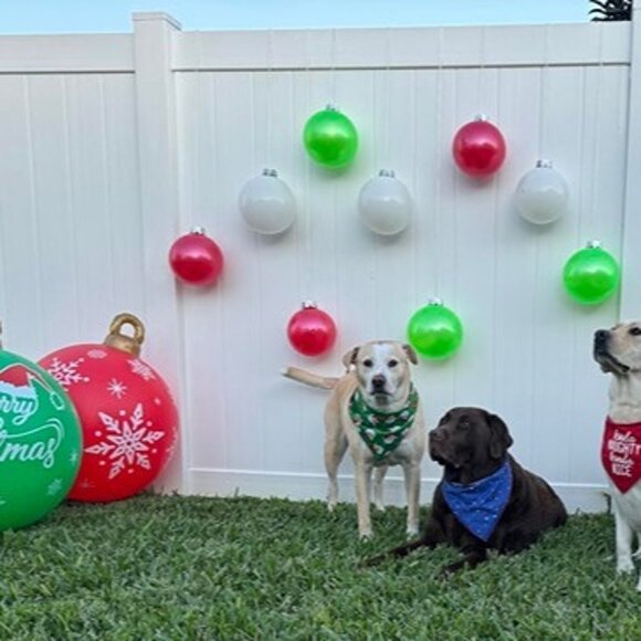 NEW   9 PCS Outdoor Christmas Decorations,Large Inflatable Christmas Balls (9") - Picture 8 of 9